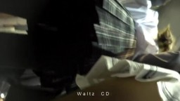 Waltz2018 05